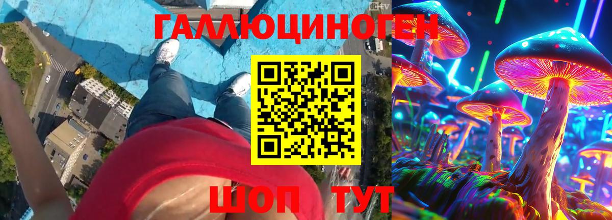 Псилоцибиновые грибы Psilocybine cubensis Джанкой